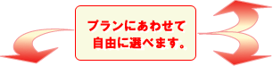 プランにあわせて自由に選べます。